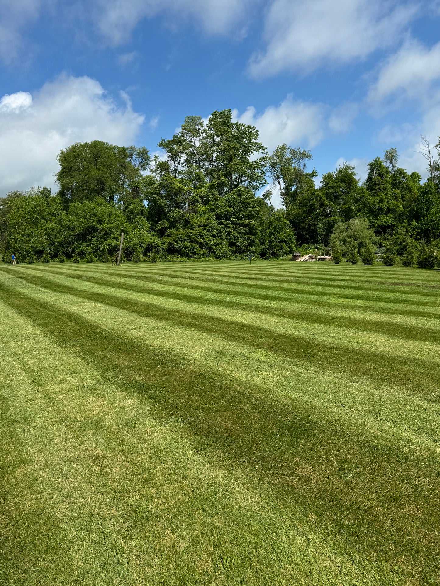 Complete Lawn Care