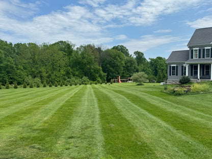 Complete Lawn Care